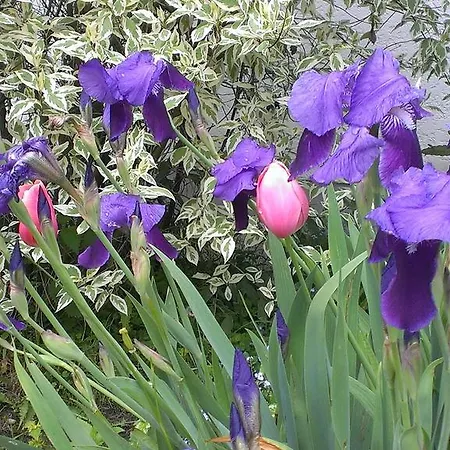 Appartementhaus Elisabeth Winklhofer *