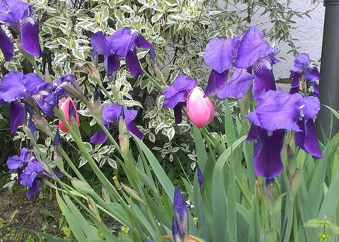 Appartementhaus Elisabeth Winklhofer *