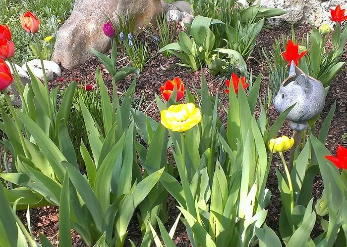 Appartementhaus Elisabeth Winklhofer *